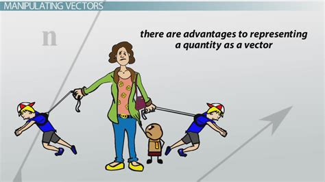 what is vector application