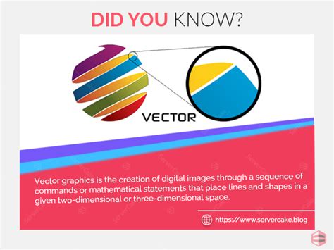 what is vector graphics in computer graphics