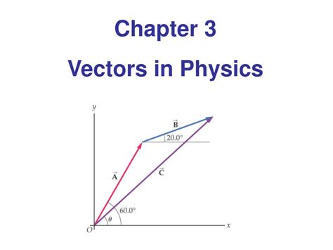 what is vector in physics class 9
