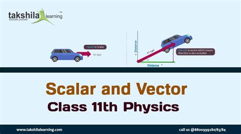 what is vector quantity in physics class 11