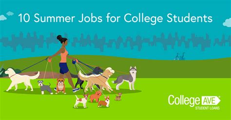 what is vector summer work for students