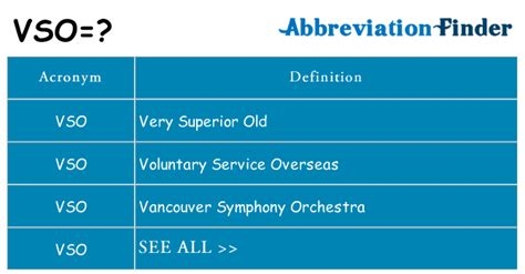 what is vso stand for