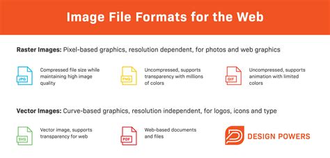 what is web format video