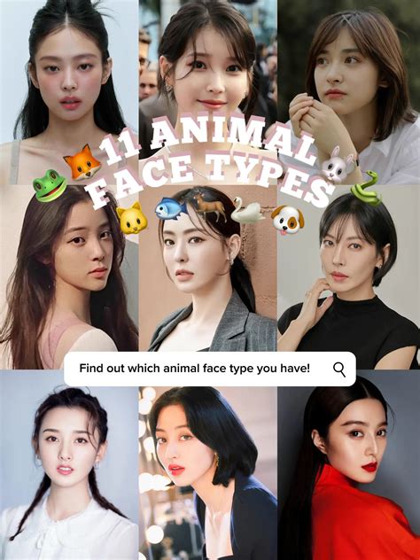 what is your animal face type quiz