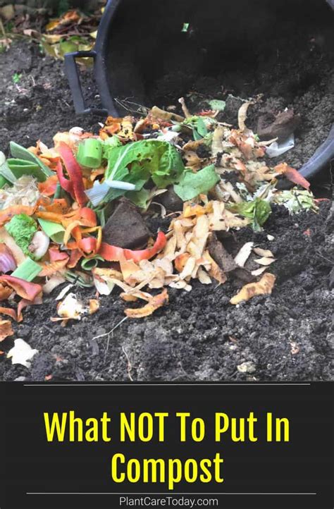 what not to put in a compost bin