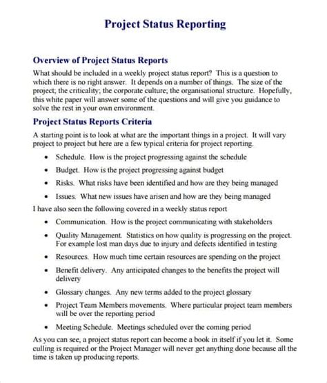 what should be included in a project report