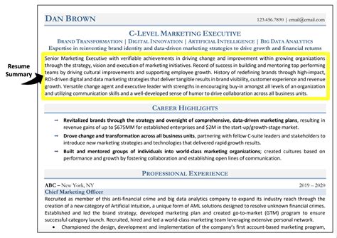 what should i write in professional summary in resume
