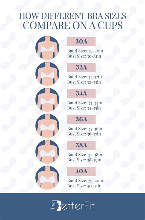 what size is 34 in breast