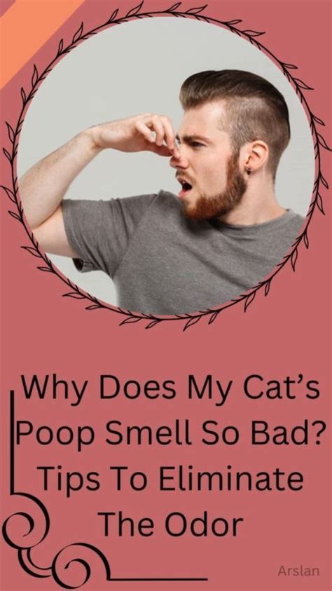what to do if your cat's poop smells really bad