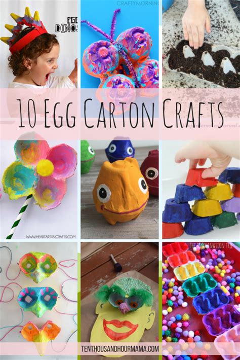 what to do with egg trays