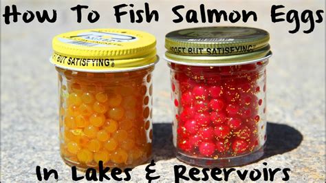 what to do with fish eggs in tank