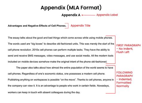 what to put in dissertation appendix