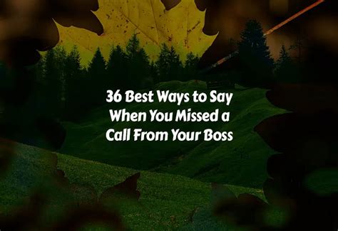 what to say when you call to check on an interview