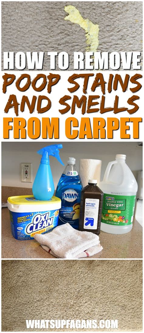 what to use to get poop stains out of carpet