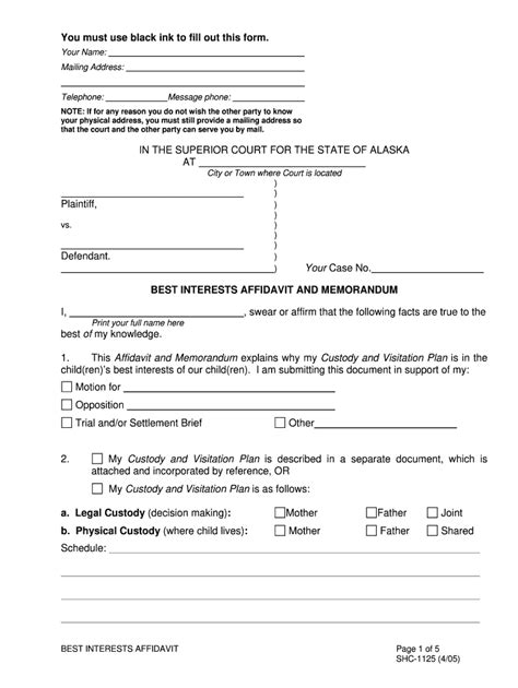 what to write in a custody affidavit