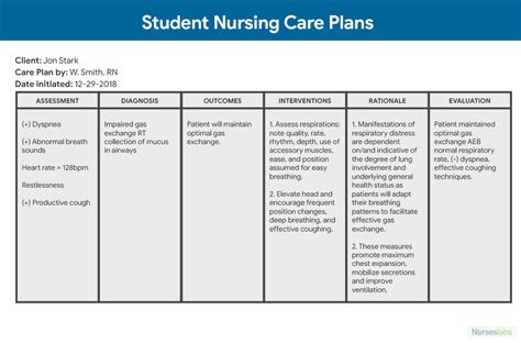 what to write in a nursing care plan