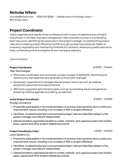 what to write in project description in resume