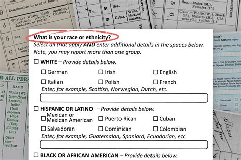 what to write on race in a form