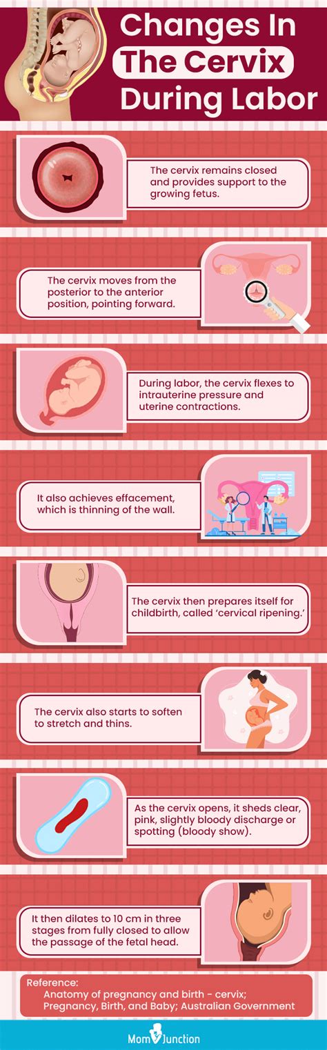 what to.read during labor