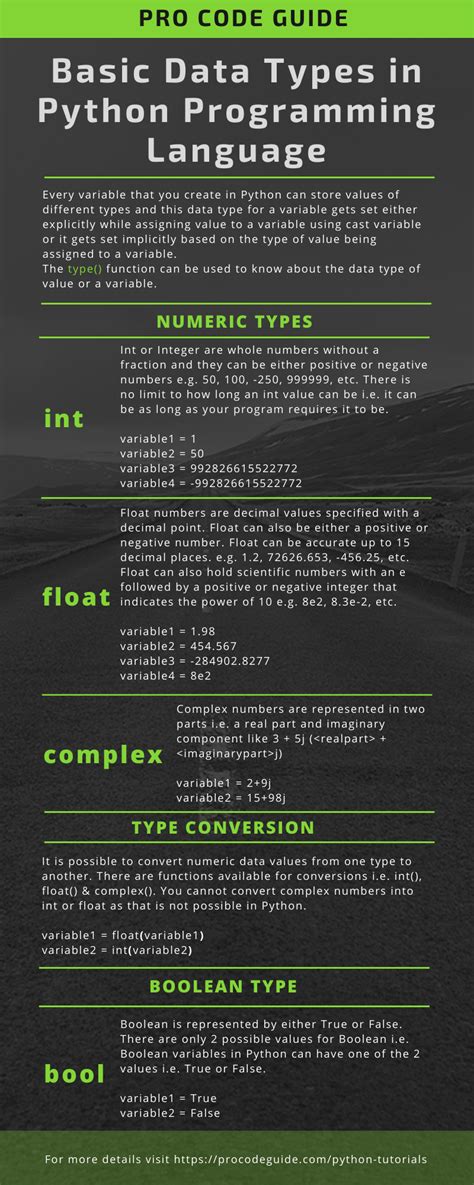 what type of coding language is python