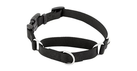 what type of collar is best for a dog that pulls