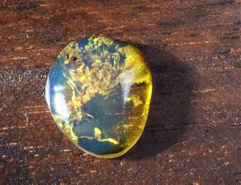 what type of dominican amber is the rarest