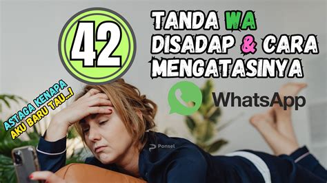 whatsapp disadap
