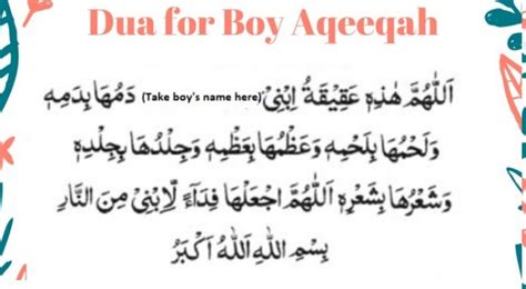 when can aqeeqah be performed