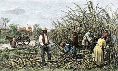when did the plantation system start