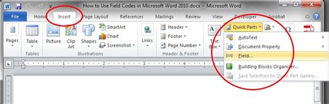 where are field codes in word
