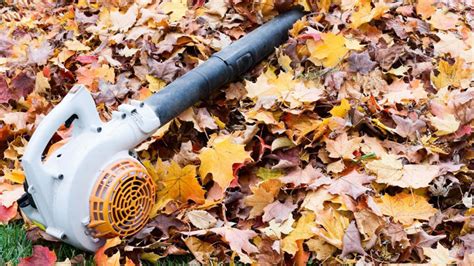 where can i take my leaf blower to get fixed