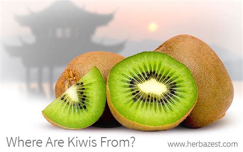 where does the name kiwi fruit come from