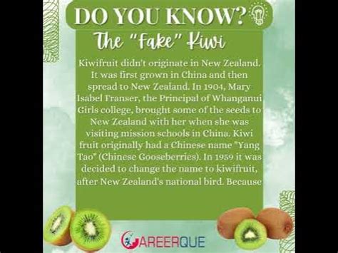 where does the word kiwi come from