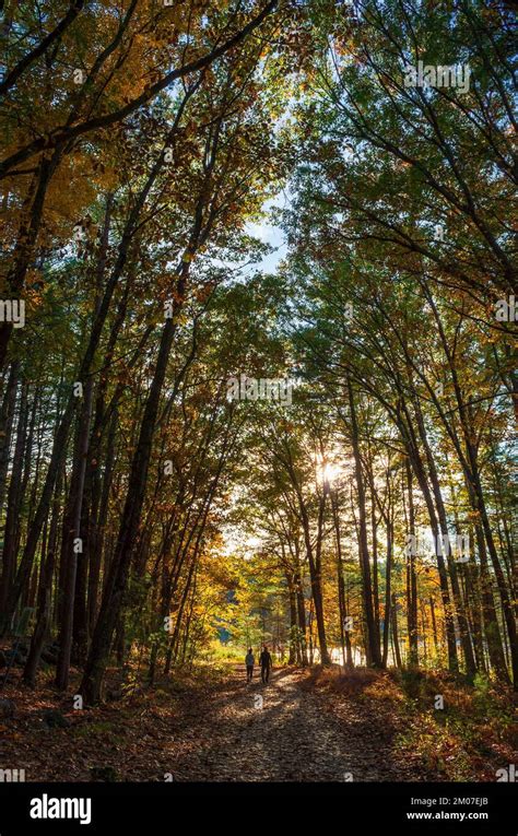 where in the us is warm in october