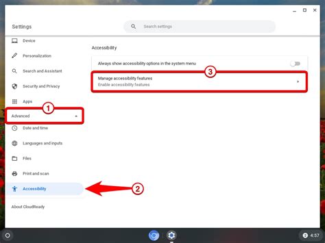where is advanced settings on chromebook