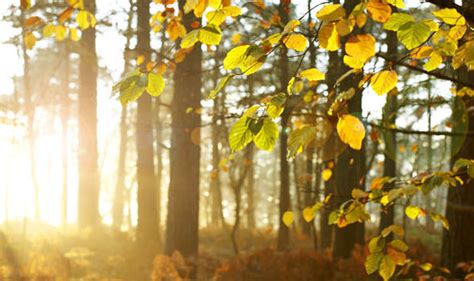 where is hot in october in uk