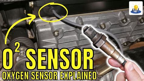 where should o2 sensors be located
