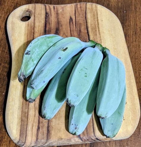 where to buy blue java bananas in australia