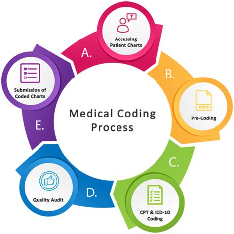 where to learn medical coding