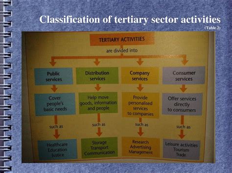 which activities are included in tertiary sector