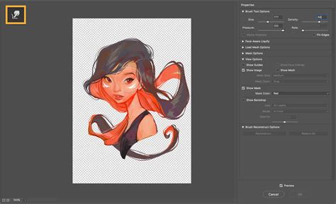 which adobe software is best for drawing