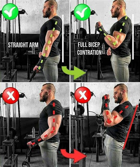 which bicep curl is most effective