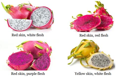 which colour dragon fruit is better