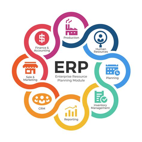 which erp software is popular