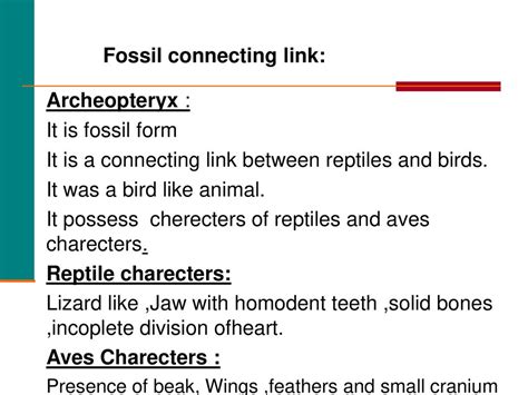 which fossil is considered a connecting link between reptiles and birds