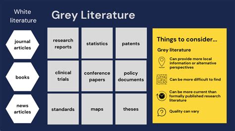 which is an example of gray literature quizlet