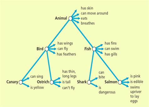 which is an example of semantic memory quizlet