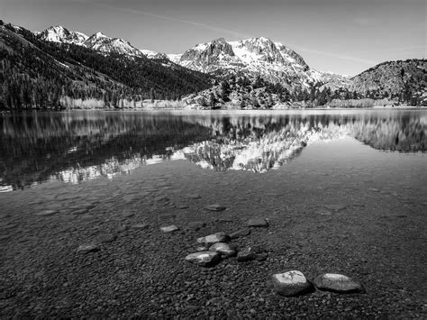 which is better grayscale or black and white