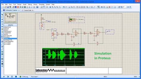 which is electronic simulation software