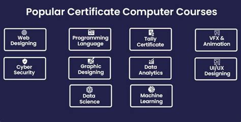 which is the best computer courses after 12th science